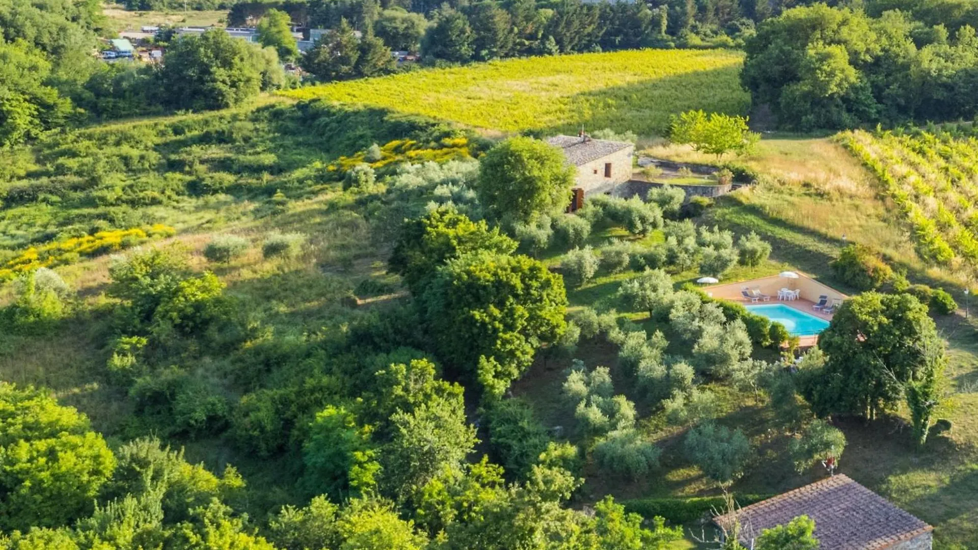 Holiday Home Cerretino Oliveto By Interhome Castellina in Chianti